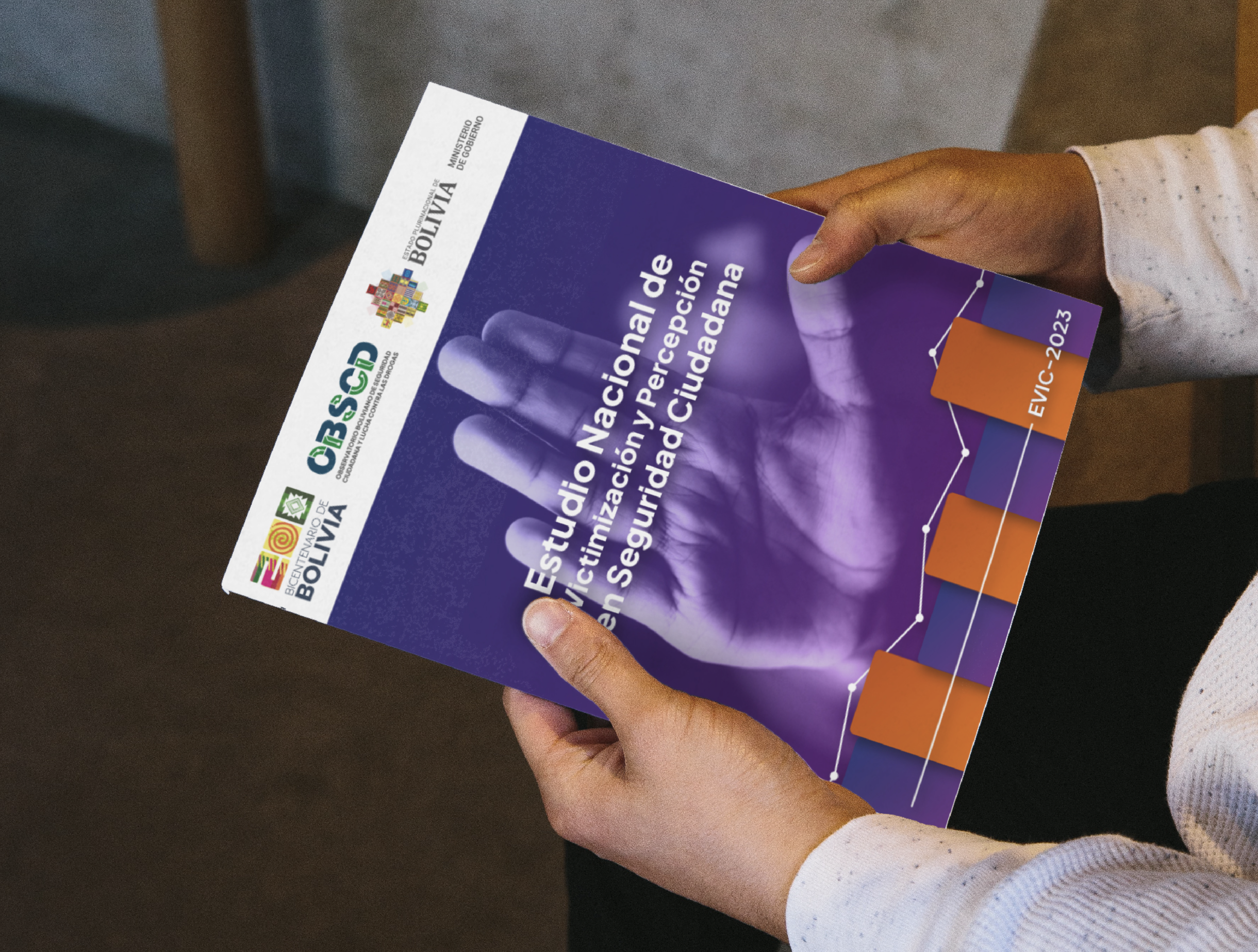 El EVIC-2023 permite identificar patrones y tendencias sobre la criminalidad en el país.