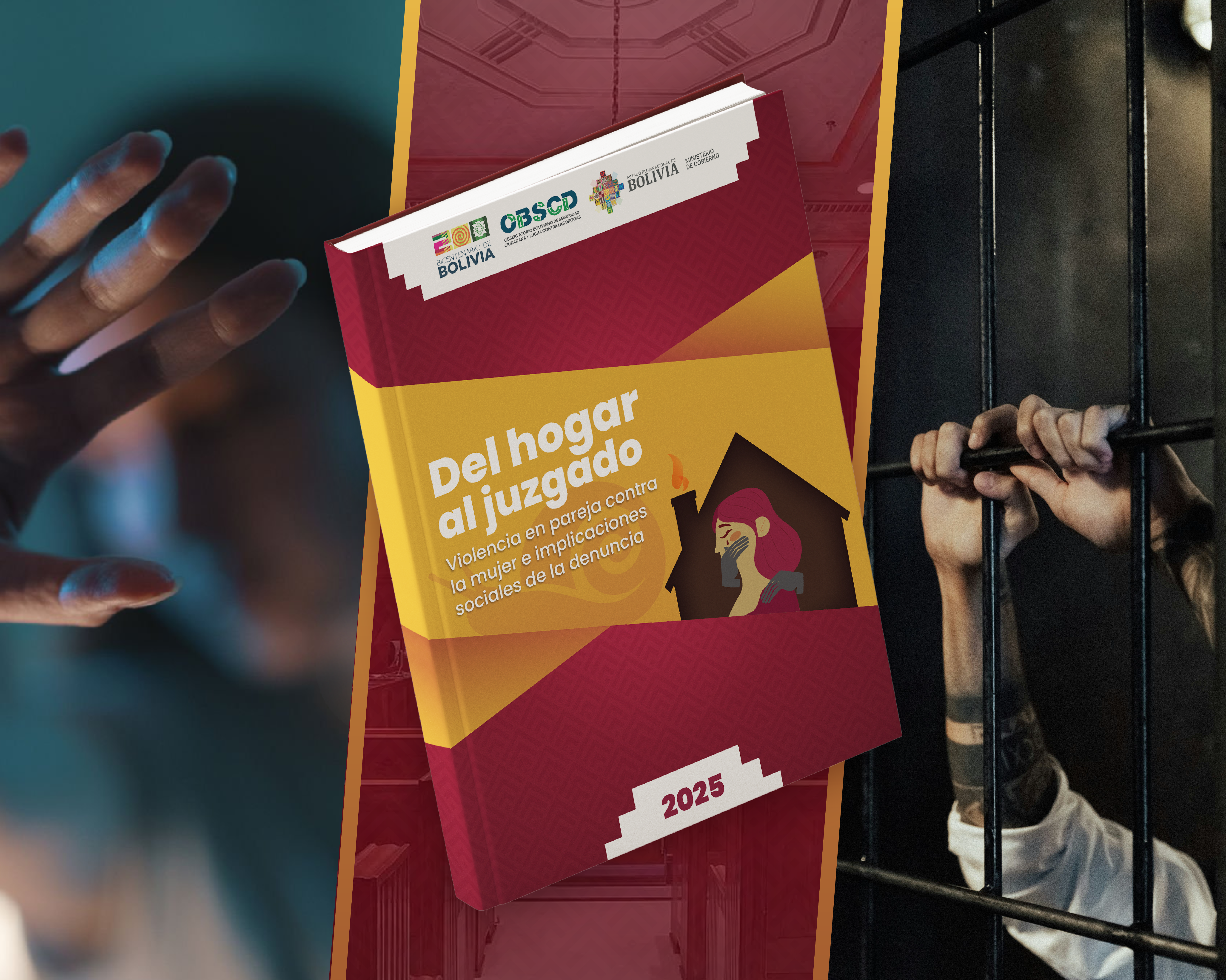 Libro Del hogar al juzgado