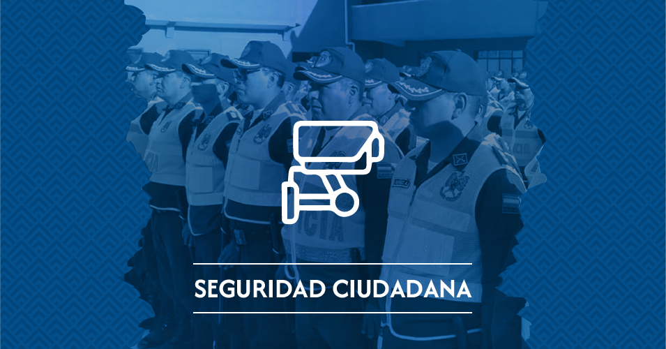 Seguridad Ciudadana publicaciones