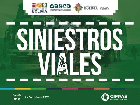 Siniestros Viales - Boletín N° 8 (a mar. 2025)