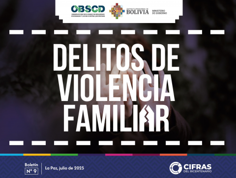 Delitos de violencia familiar - Boletín N° 9 (a mar. 2025)
