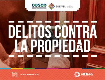 Delitos propiedad 3