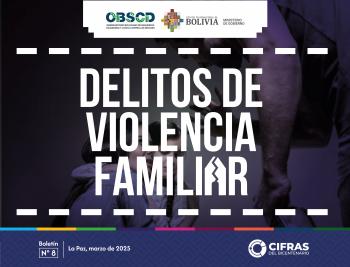 Delitos violencia familiar 8
