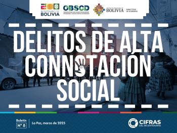 Delitos de alta connotación social - Boletín N° 9 (a mar. 2025)