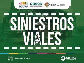 Siniestros Viales - Boletín N° 8 (a mar. 2025)