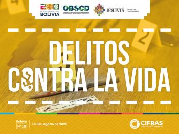 Delitos contra la vida - Boletín N° 10 (a may. 2025)